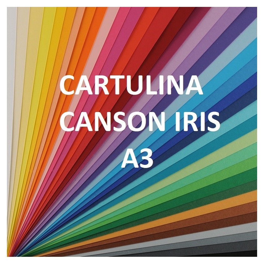 50 Unidades Cartulina Color Verde Abeto Canson Iris 