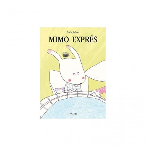MIMO EXPRES