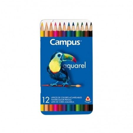 http://acpapeleria.com/38479-large_default/lapices-campus-college-24-colores.jpg
