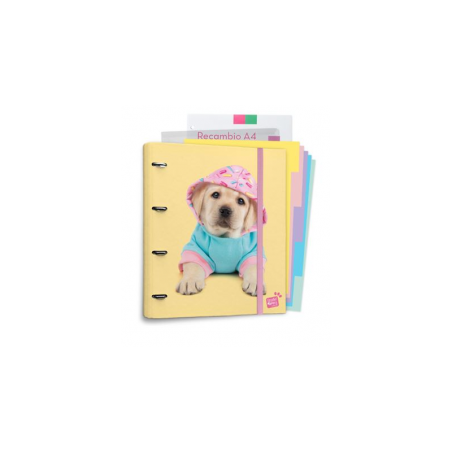 http://acpapeleria.com/55062-large_default/carpeblock-4-anillas-studio-pets-dogs.jpg