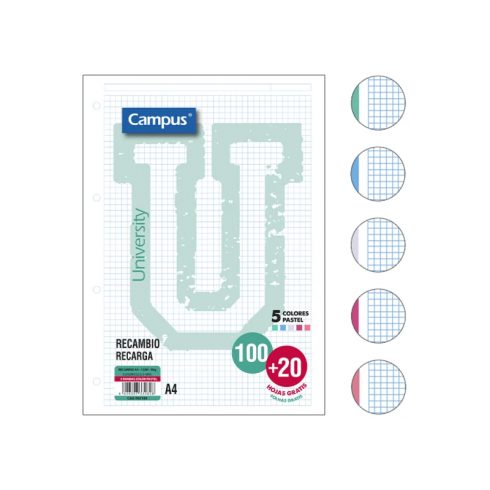 RECAMBIO A4 CAMPUS 100+20H 5X5 5 COL.BANDA PASTEL