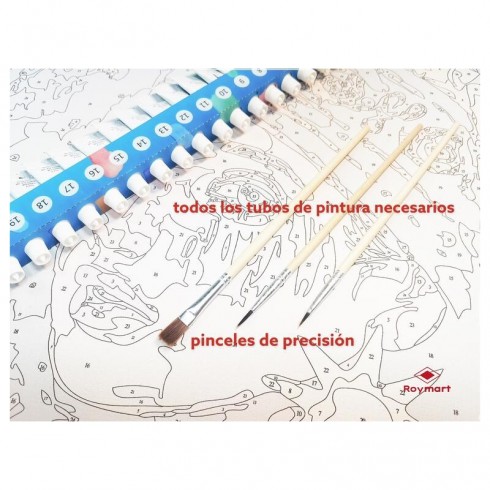 PINTAR POR NÚMEROS LIFE IS A BEAUTIFUL RIDE