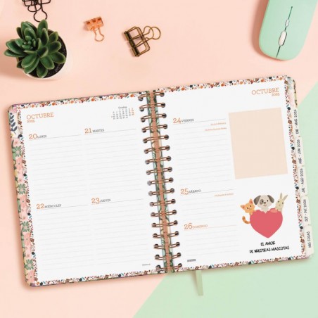 http://acpapeleria.com/56361-large_default/agenda-finocam-16-meses-vitae-14-sv-horizverde-25-26.jpg