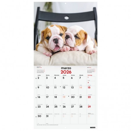 http://acpapeleria.com/59948-large_default/calendario-pared-escribir-30x30-cachorros-2026.jpg