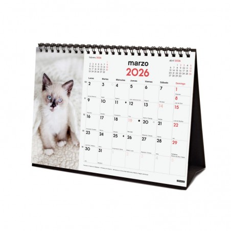 http://acpapeleria.com/60059-large_default/calendario-sobremesa-escribir-210x150-2026-gatitos.jpg