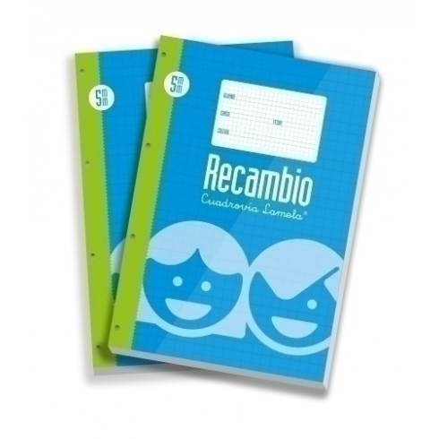 RECAMBIO LAMELA FOLIO 100H 5MM