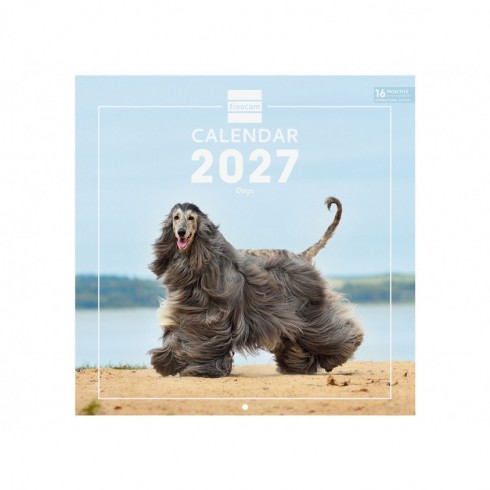 CALENDARIO PARED 30X30 2027 DOGS INT
